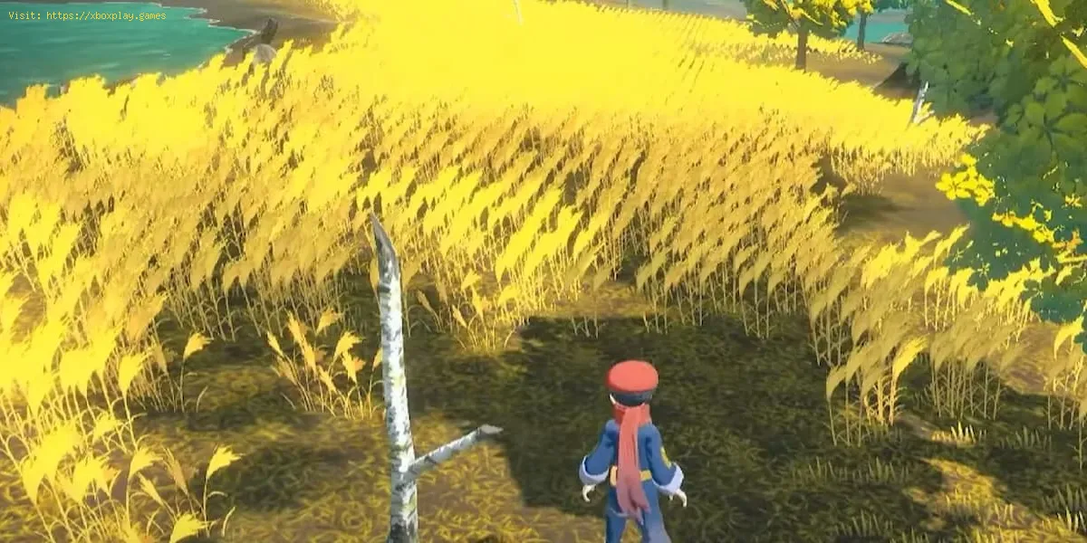 Pokemon Legends Arceus: Cómo encontrar granos abundantes
