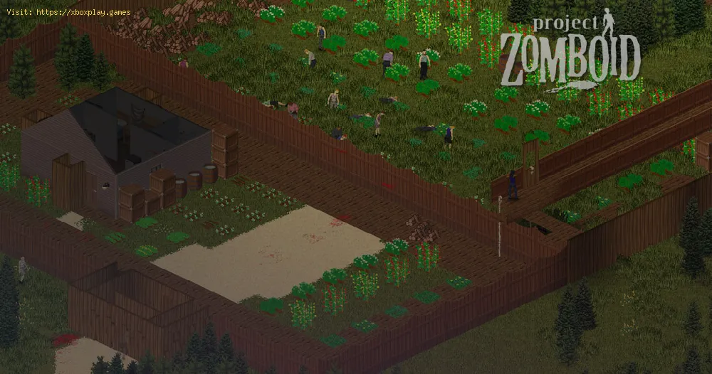Project Zomboid: How to Get a Generator