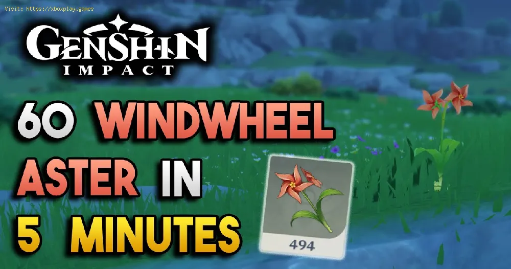 Genshin Impact: Where to find Windwheel Aster