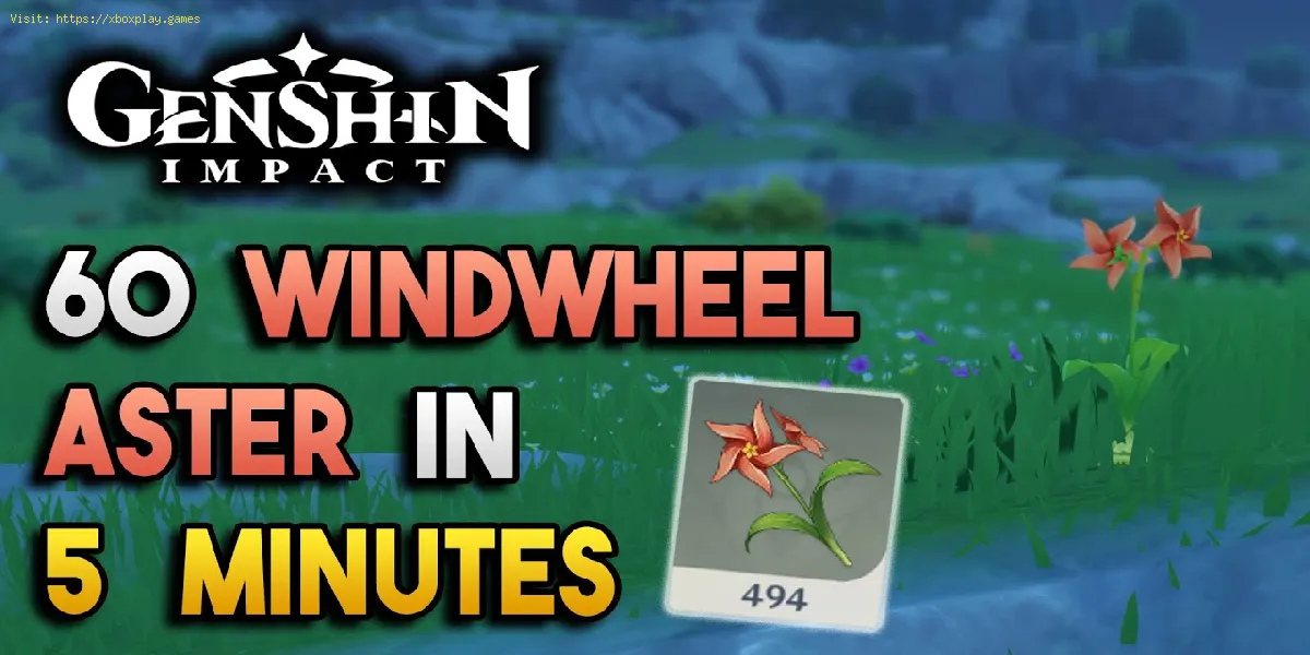 Genshin Impact: Onde encontrar o Aster Wind Wheel
