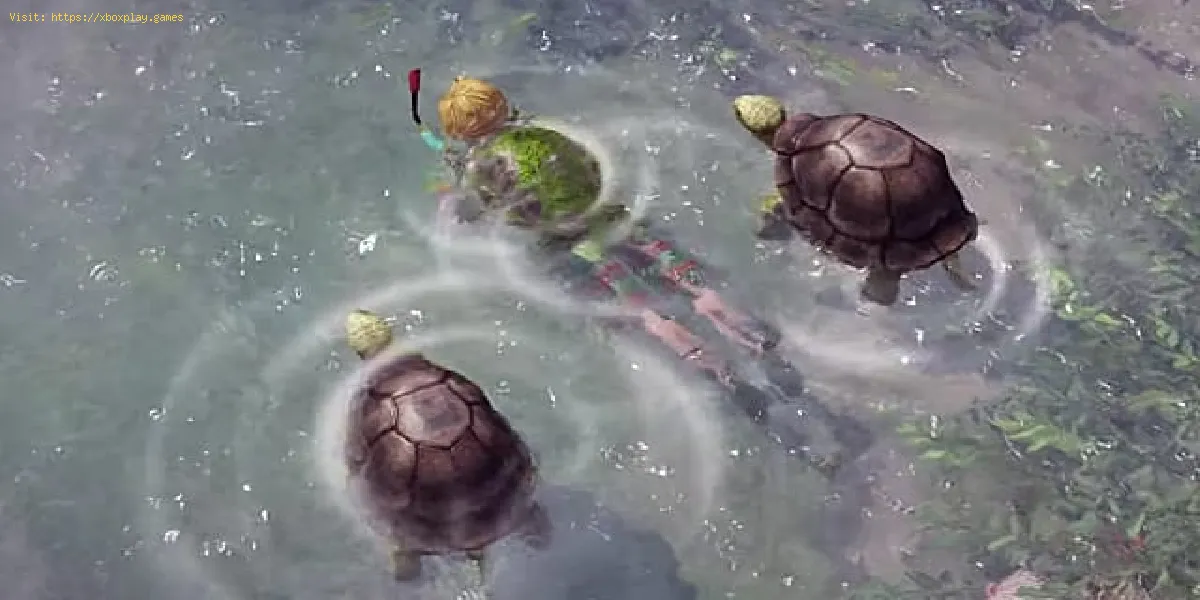 Lost Ark : Comment obtenir la tortue mousse dorée