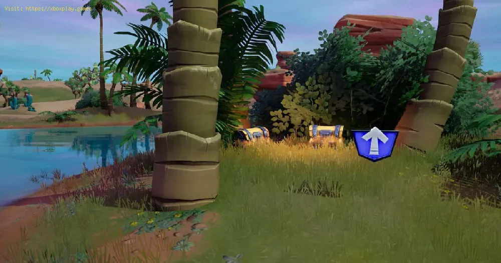 Fortnite: How to find the Level Up Token at Haven’s Oasis