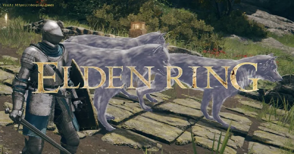 Elden Ring: How to Get the Spirit Ash