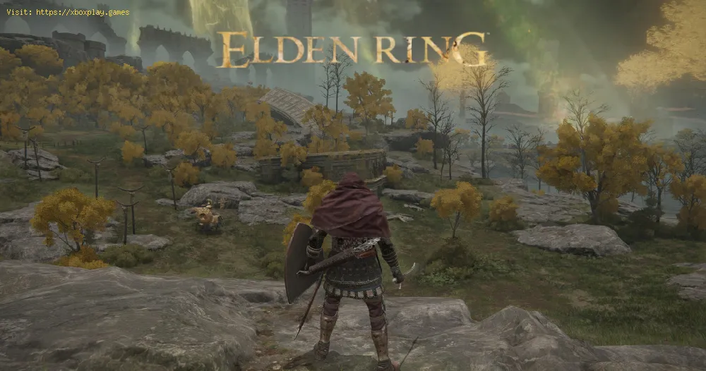 Elden Ring: Where to Get a Flail Location