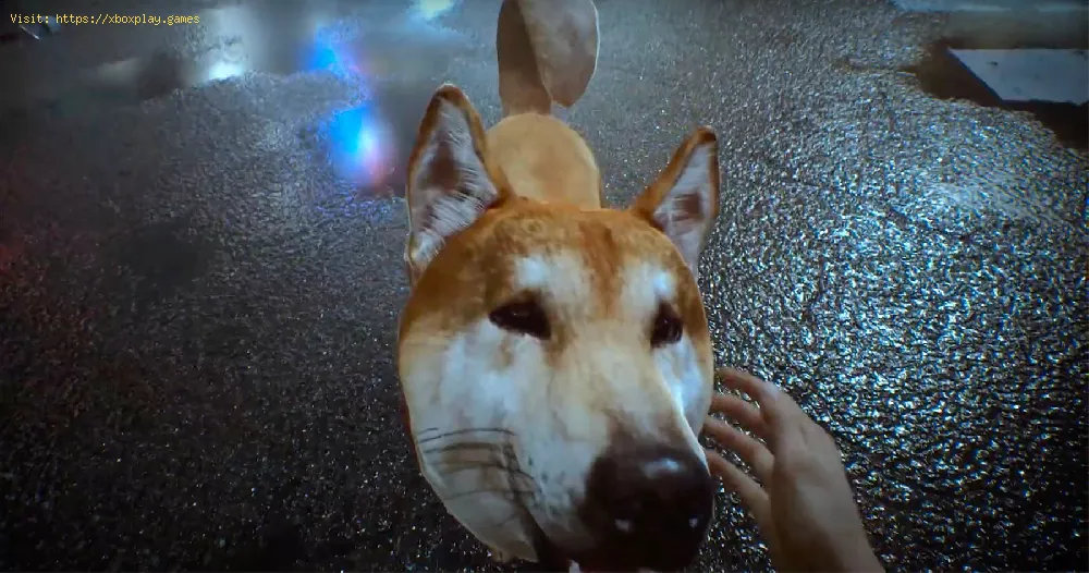 Ghostwire Tokyo: How to Pet Dogs