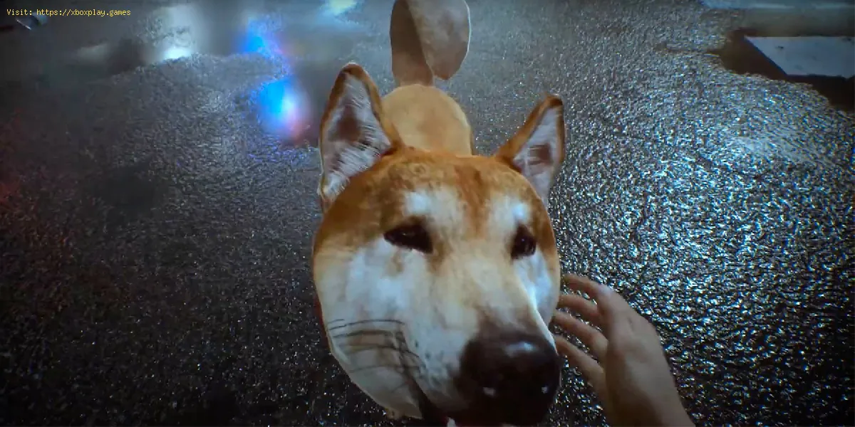 Ghostwire Tokyo: Como acariciar cães