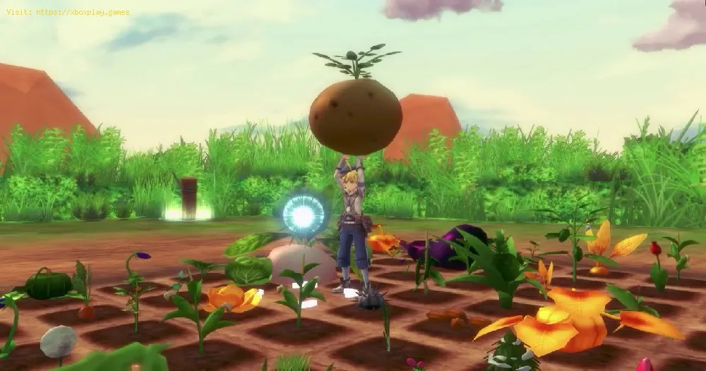 Rune Factory 5: Where to find Apples