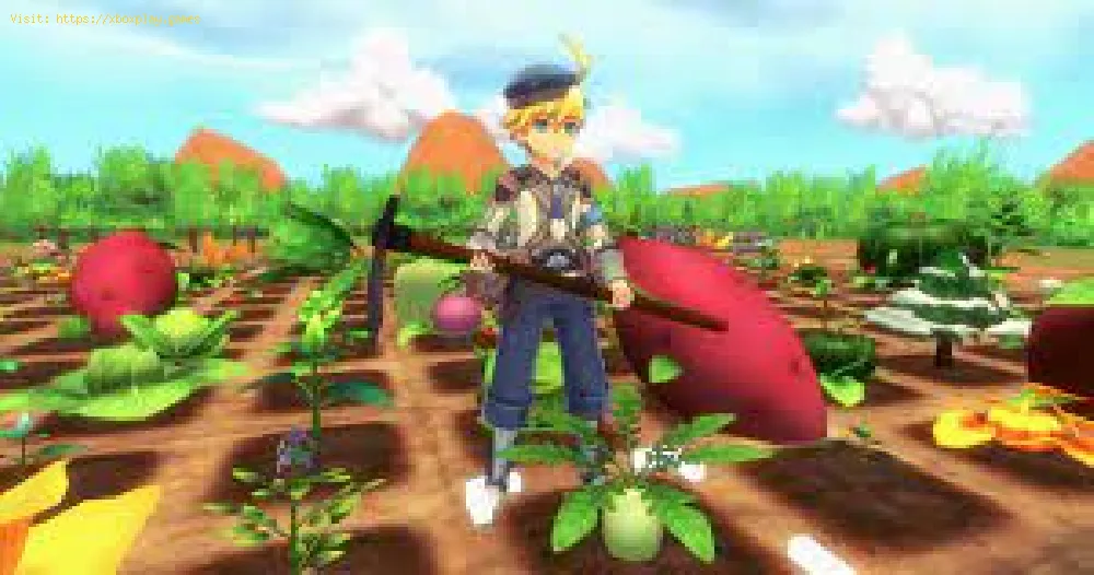 Rune Factory 5: How to get a Pike