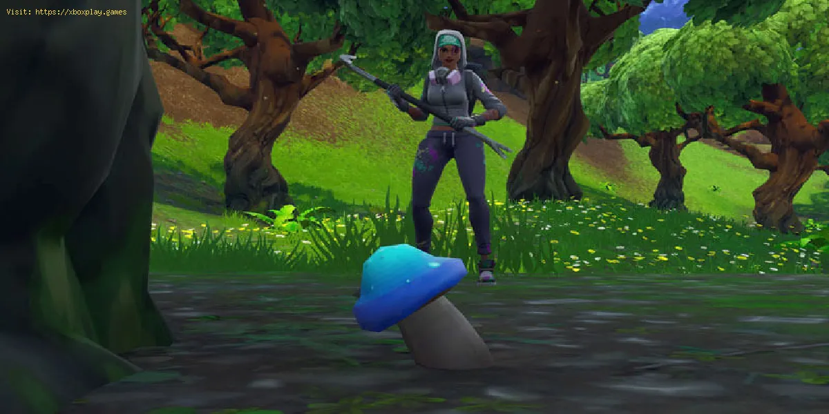 Fortnite: So finden Sie Pilze - World Collision Missions Guide