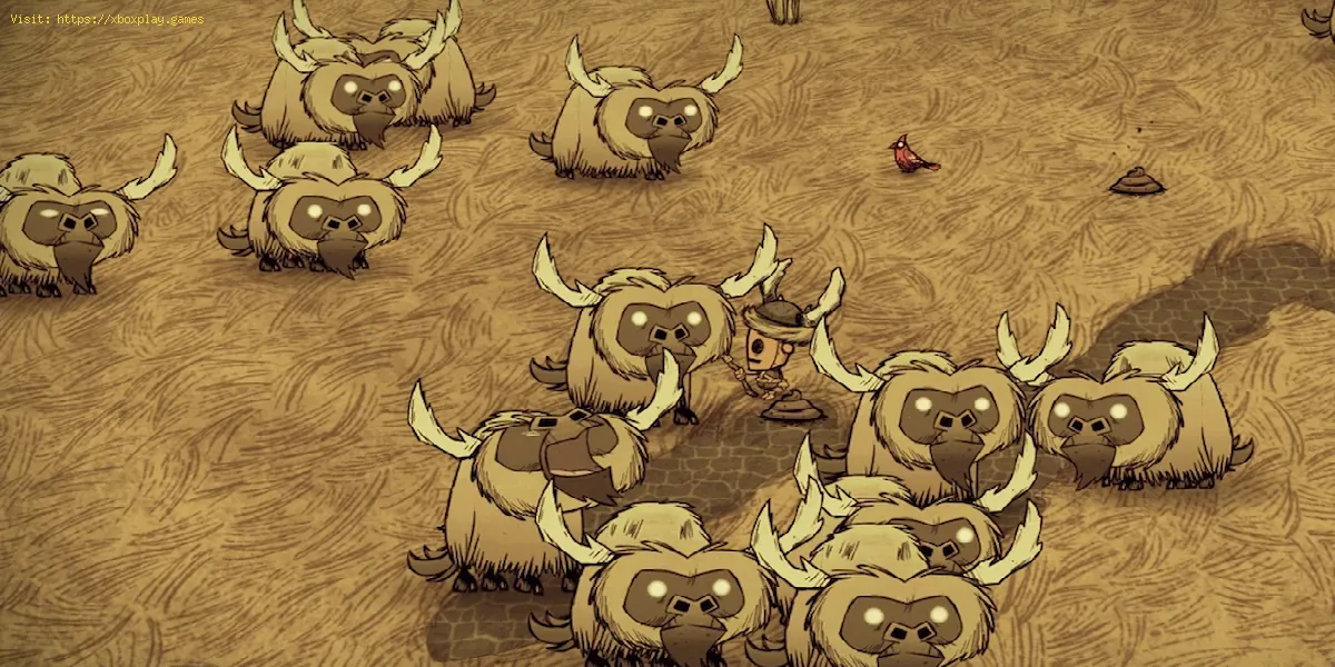 Don't Starve : Où trouver le boeufalo