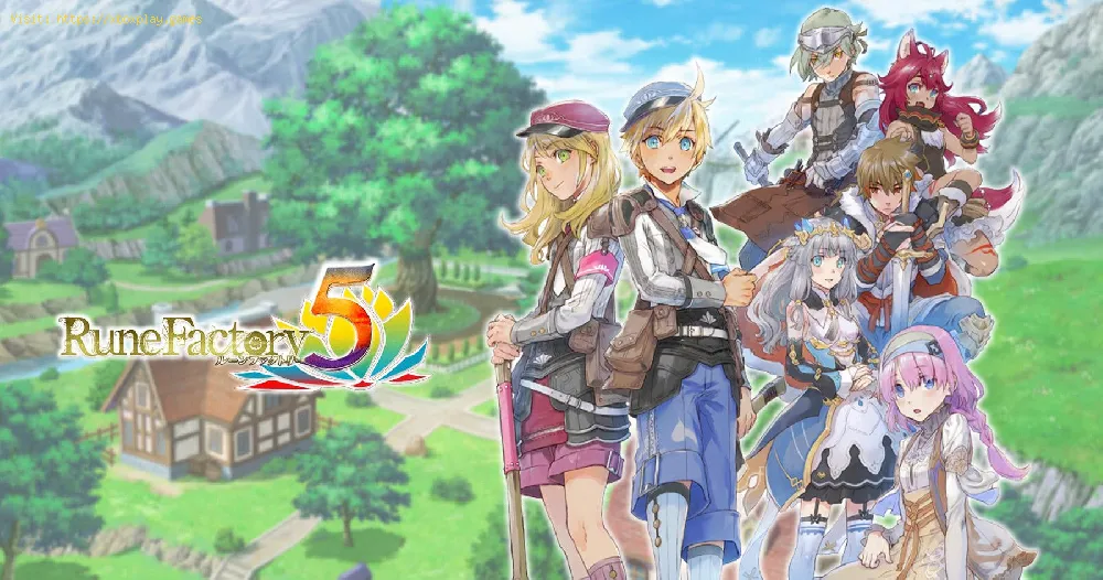 Rune Factory 5: How to cook Stew