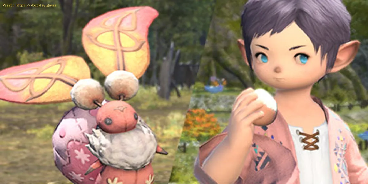 Final Fantasy XIV: Como encontrar o emote Comer Ovo
