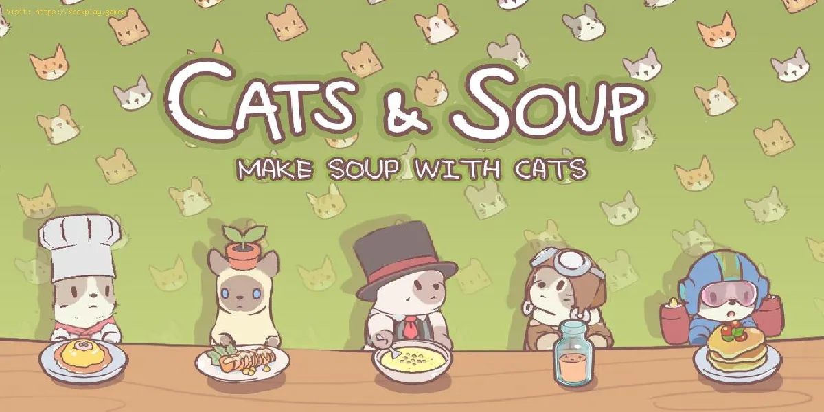 Cats and Soup : comment déplacer des installations