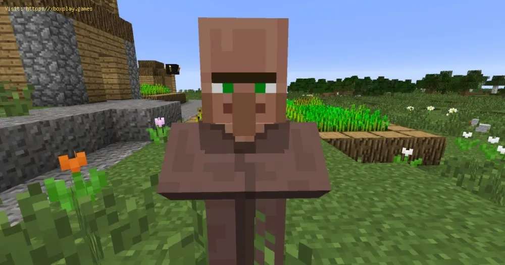 Minecraft: How to reproduce Villagers - Mate guide
