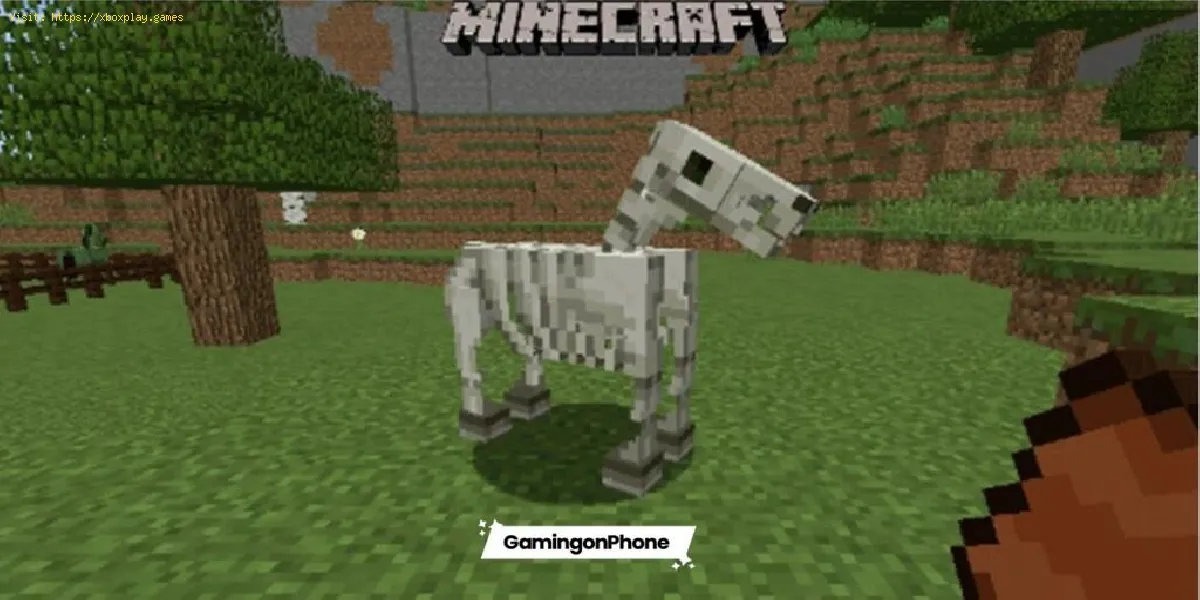 Minecraft: apprivoiser un cheval