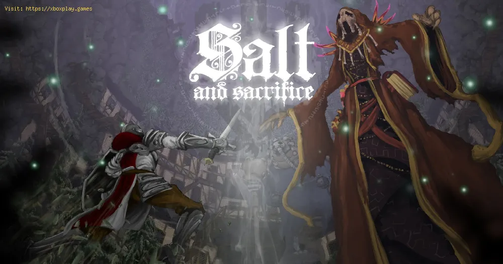 Salt and Sacrifice: How to Beat Ekriks Graycloud