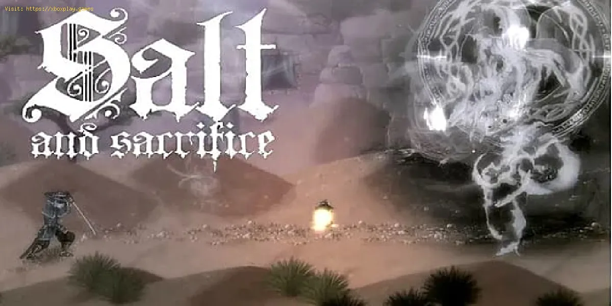 Salt And Sacrifice : Tous les crimes et objets