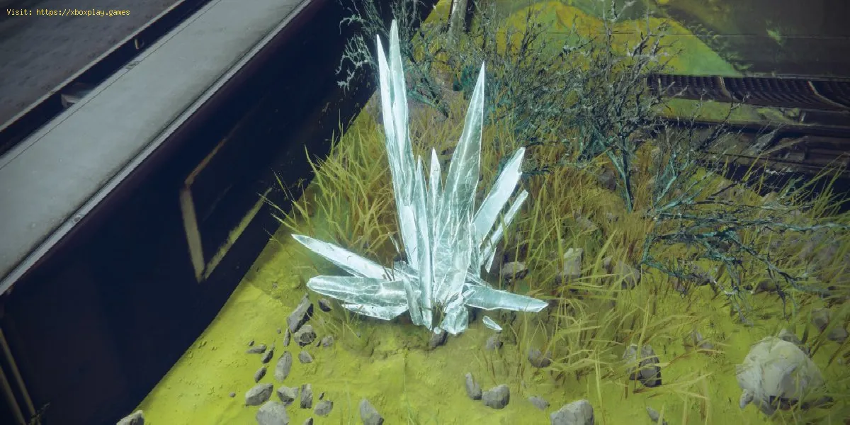 Destiny 2: Cómo encontrar Espiras de cristal fasico