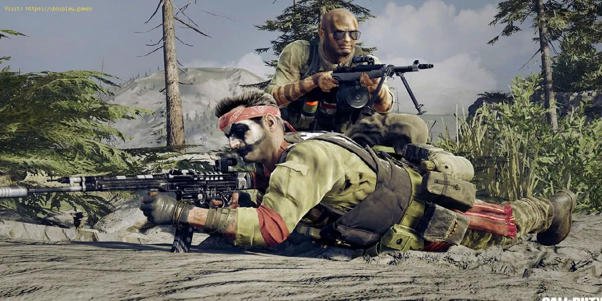 Call of Duty Warzone : Comment réparer le code d'erreur Pilum