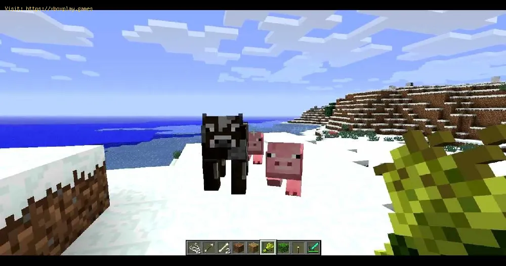 Minecraft: how to attract pigs - Breed Pigs Guide