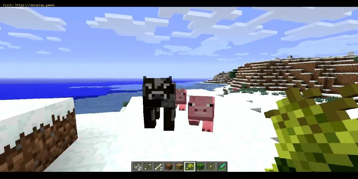 Minecraft: wie man Schweine anzieht - Anleitung zur Schweinezucht