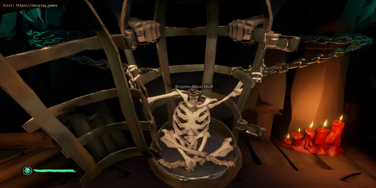 Sea of Thieves: Wo man Ritualschädel findet
