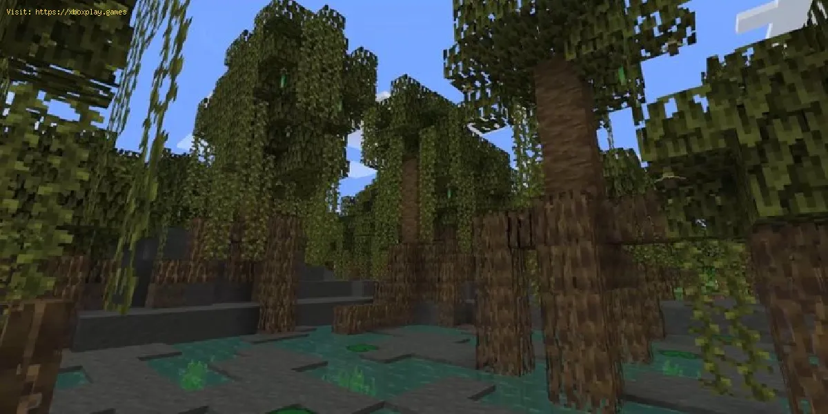 Minecraft : où trouver un biome de mangrove
