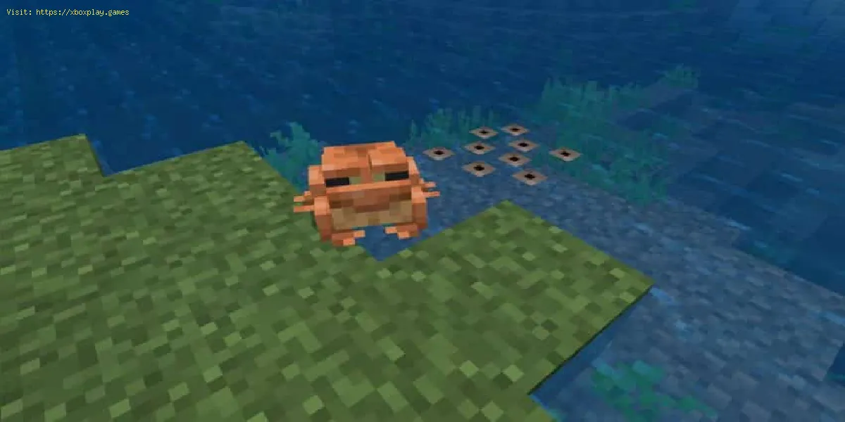 Minecraft: Cómo criar ranas