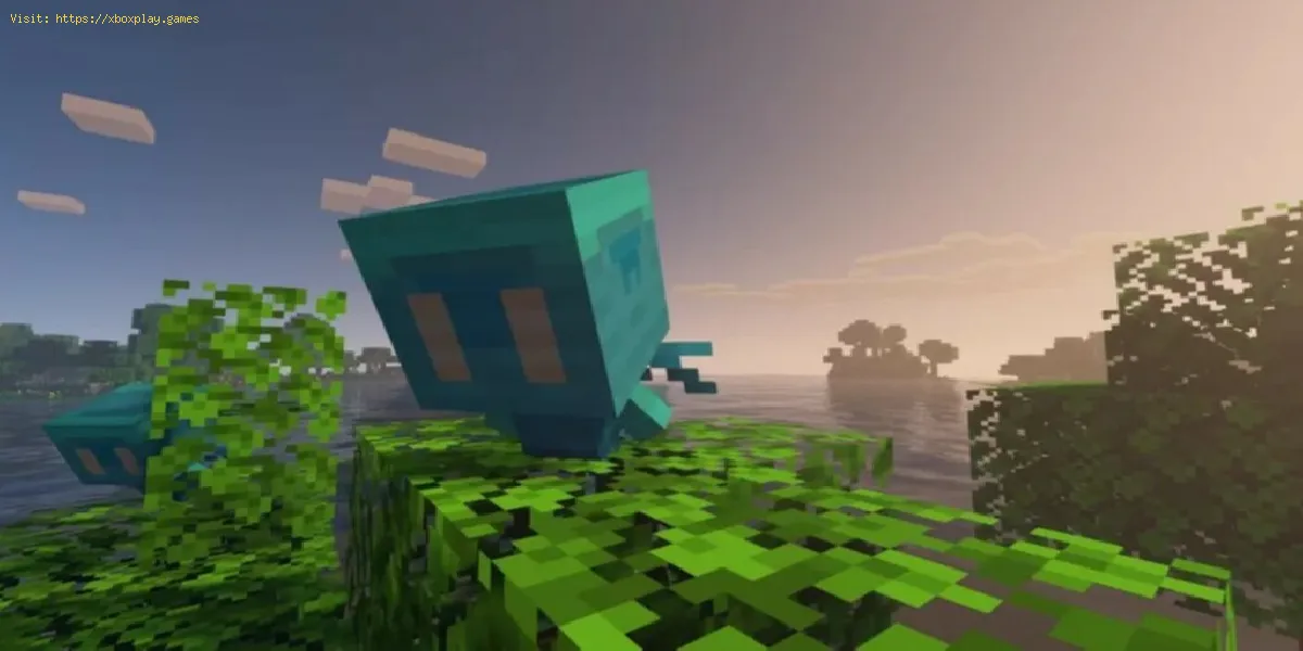 Minecraft : Comment faire danser les allais