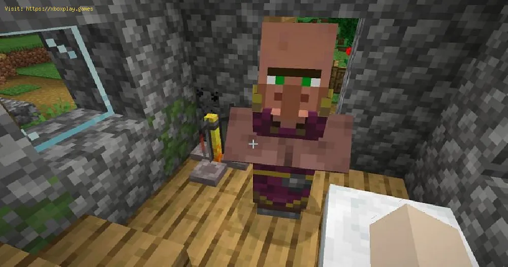 Minecraft: How To Make A Cleric Villager