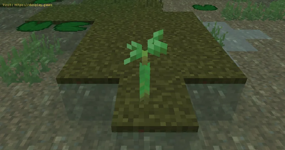 Minecraft: How to get Mangrove Propagules