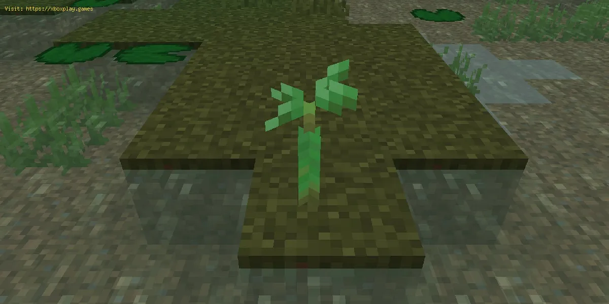 Minecraft: So erhalten Sie Mangroven-Propagula