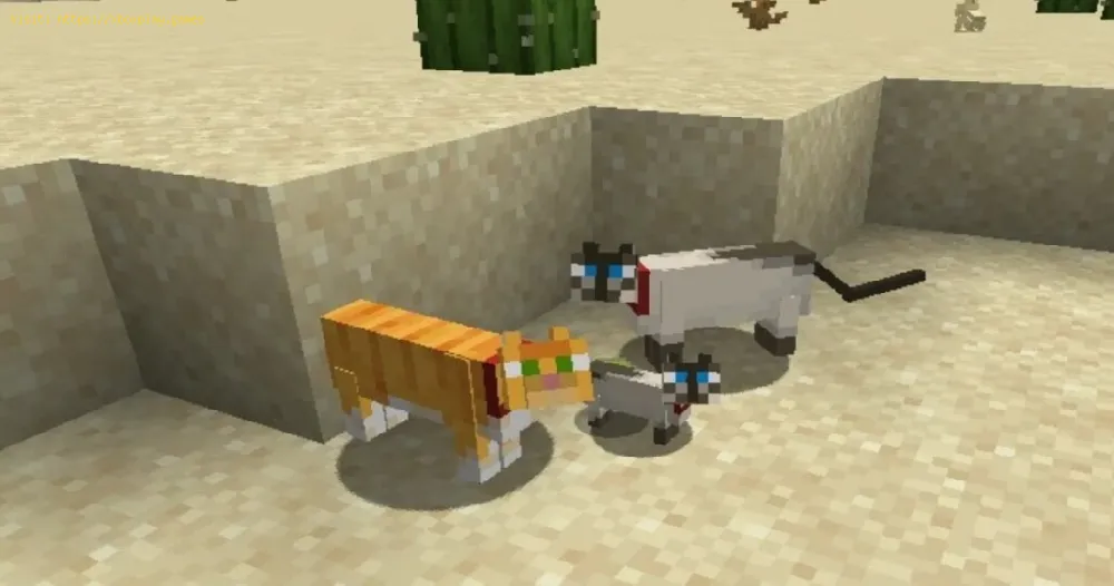 Minecraft: How to breed Cats - Tips and tricks