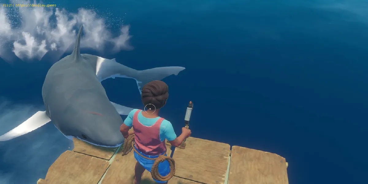 Raft: come battere uno squalo