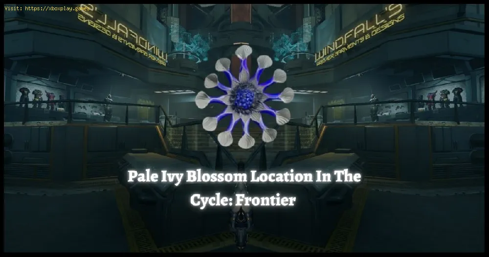 The Cycle Frontier: How to Find Pale Ivy Blossoms
