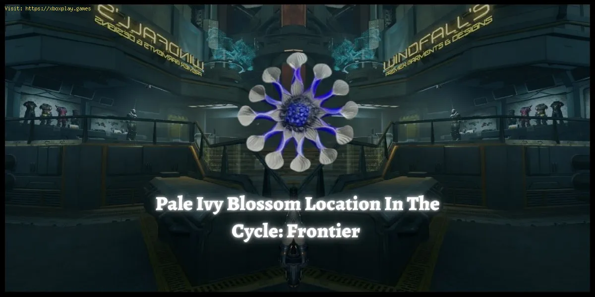The Cycle Frontier : Comment trouver des fleurs de lierre pâle