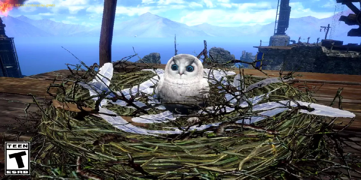 Monster Hunter Rise Sunbreak: Onde encontrar o ninho de cohoot de Elgado
