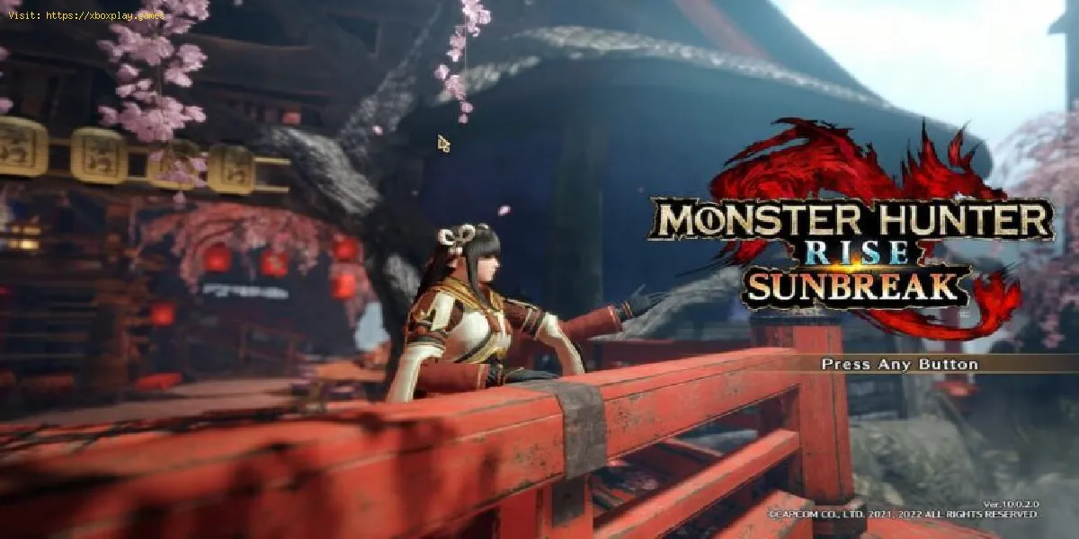 Monster Hunter Rise Sunbreak : comment réparer un crash au démarrage
