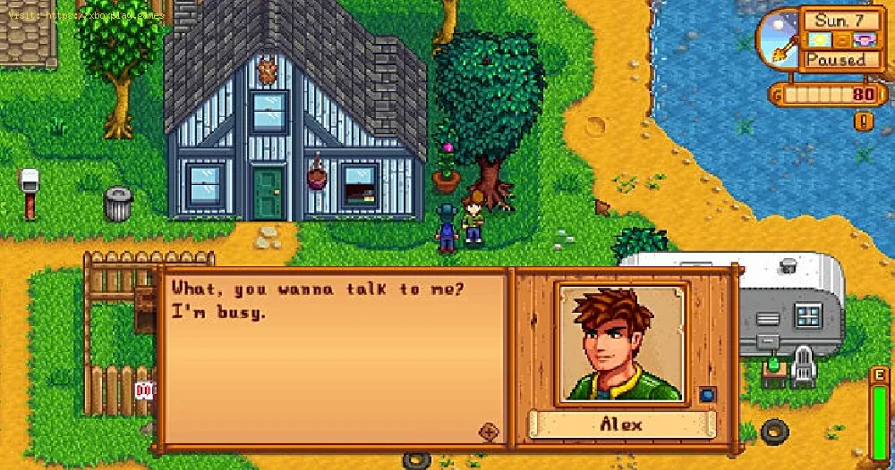 Stardew Valley: How to Marry