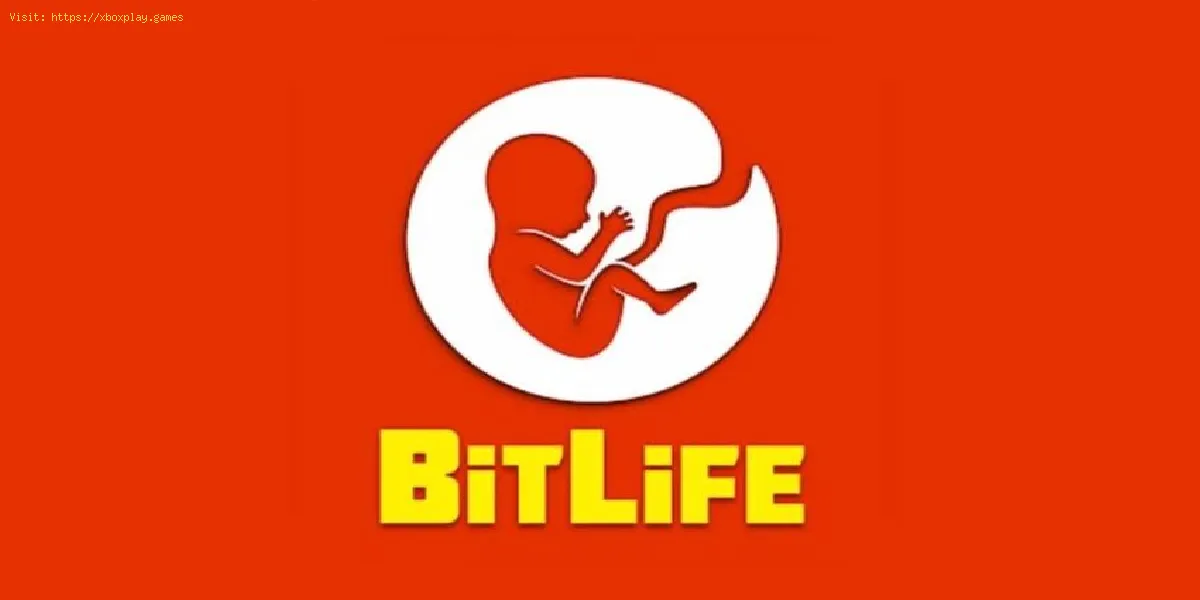BitLife: Wie man Tischler wird