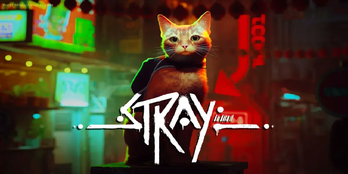 Cómo personalizar a tu gato en Stray