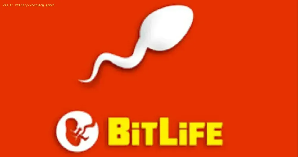 Where is Brooklyn in BitLife?