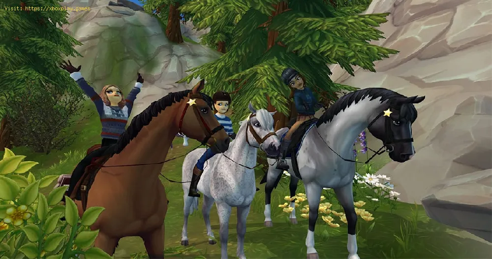 How to Get Star Coins in Star Stable