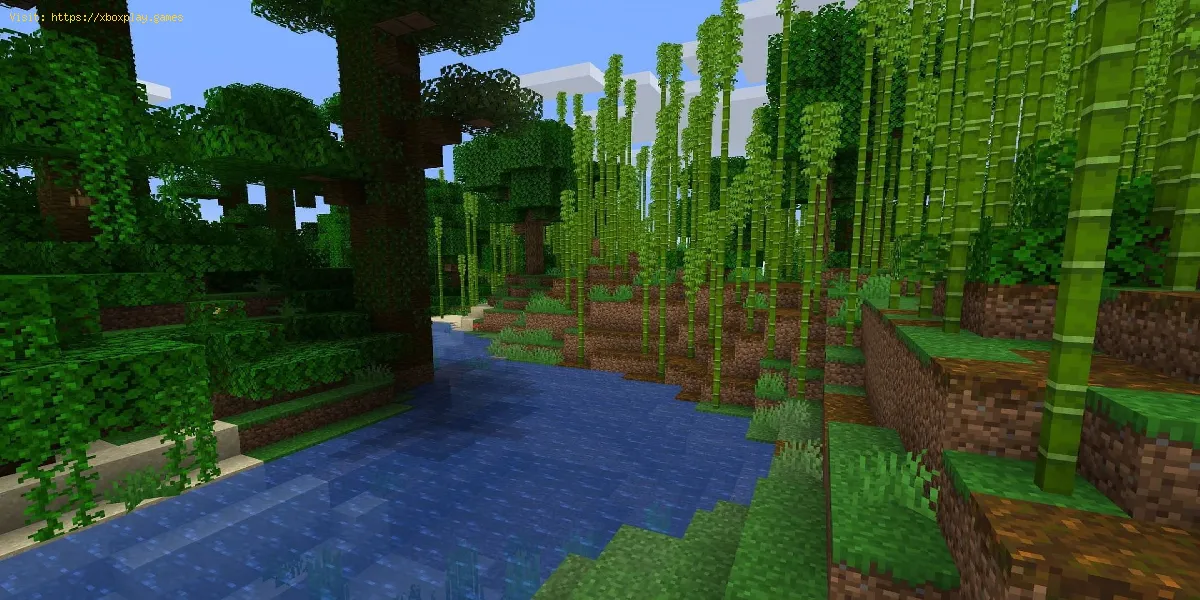 Cómo obtener bambú en Minecraft