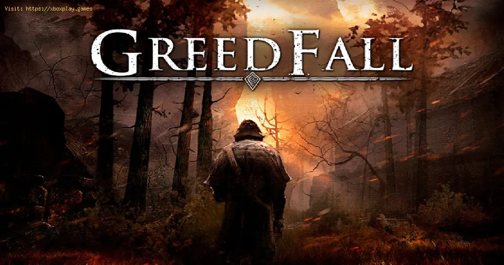 GreedFall: How to solve stones puzzle order