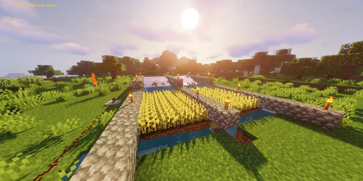 Come costruire una fattoria di base in Minecraft