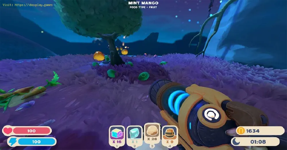 Mint-Mango location in Slime Rancher 2