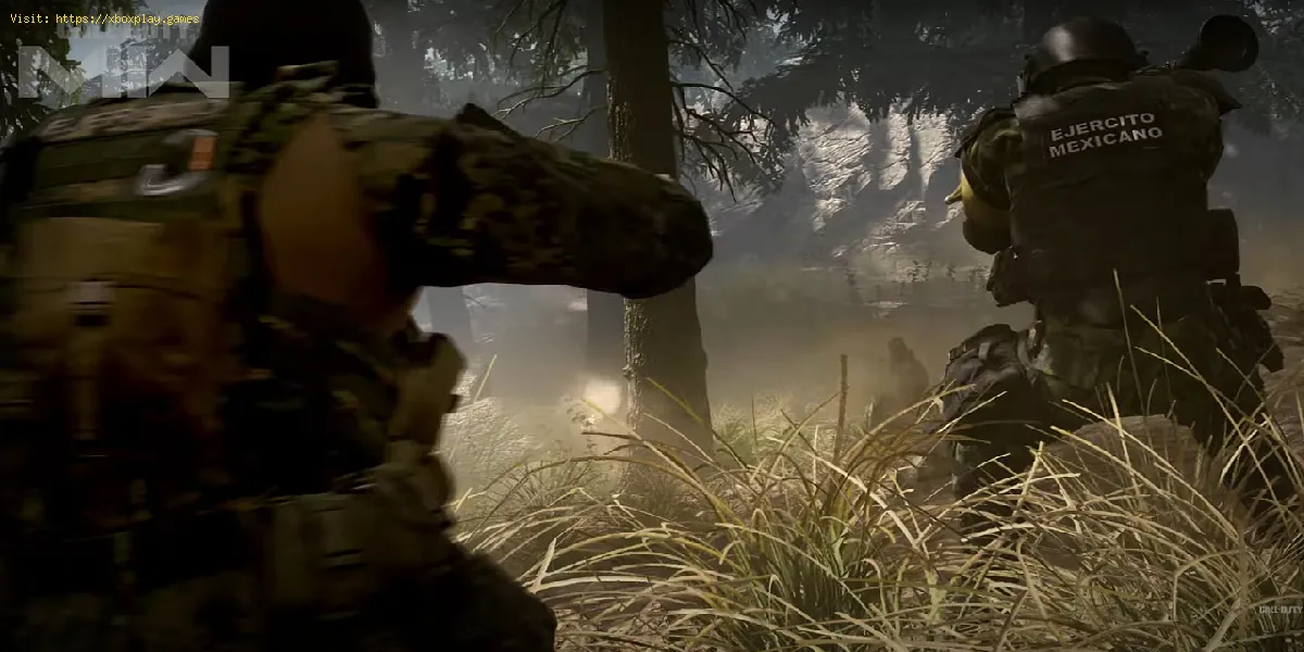Correction du bégaiement Modern Warfare 2