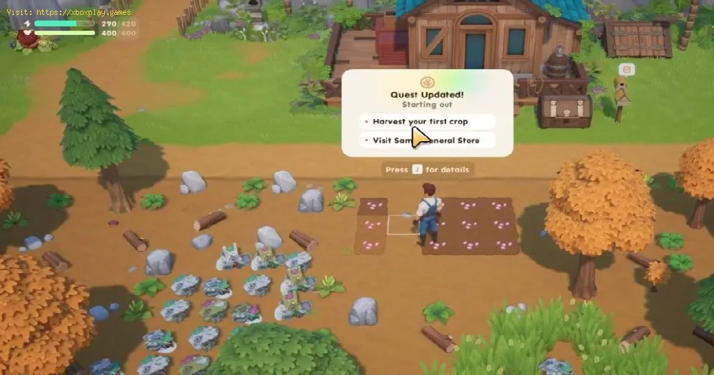 Oak Seeds Location in Coral Island