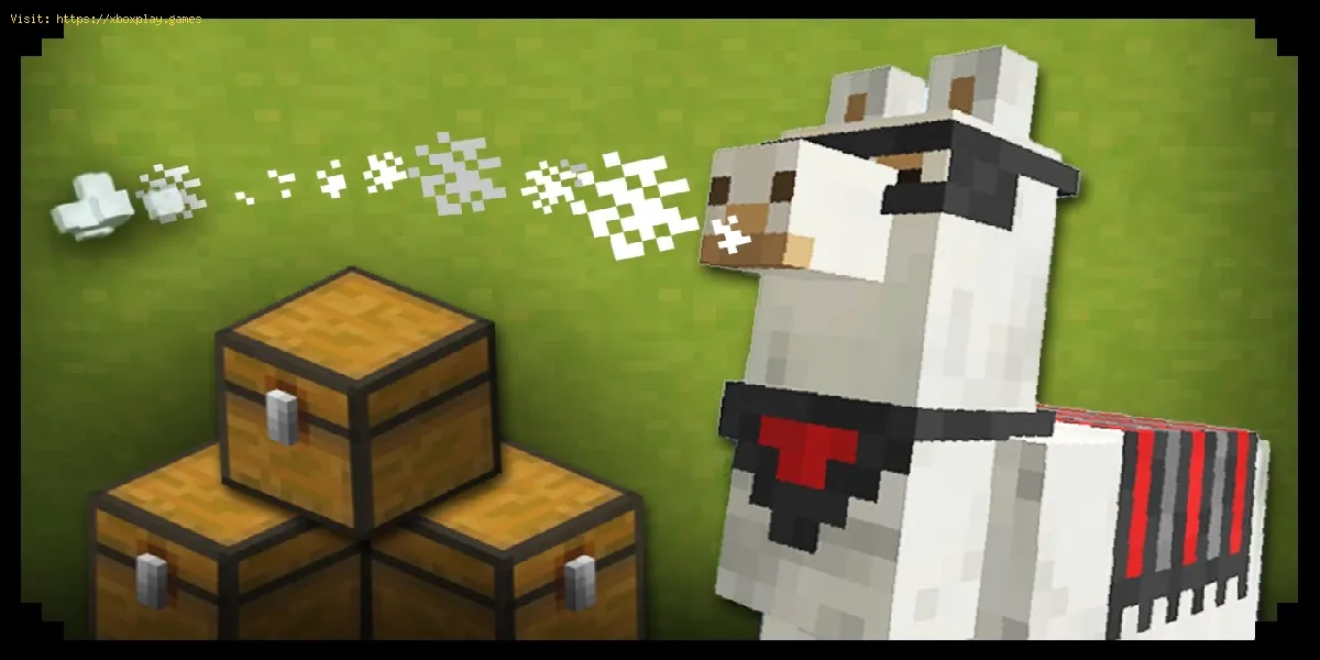 Minecraft: Wie man Lamas aufzieht - Tipps und Tricks